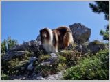 Slika_081.webp
