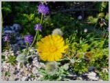 Slika_082.webp