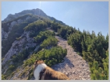 Slika_084.webp