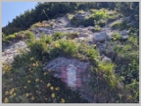 Slika_085.webp