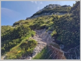Slika_091.webp