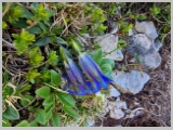 Slika_094.webp