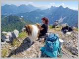 Slika_103.webp