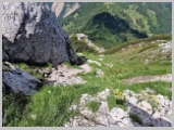 Slika_116.webp