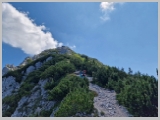 Slika_122.webp