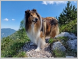 Slika_125.webp
