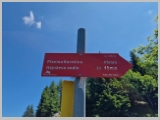 Slika_133.webp