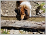 Slika_134.webp