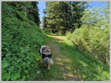 Slika_136.webp