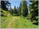 Slika_137.webp