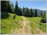 Slika_138.webp