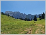 Slika_140.webp