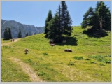 Slika_141.webp