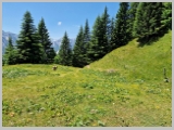 Slika_151.webp