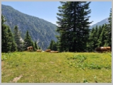 Slika_152.webp