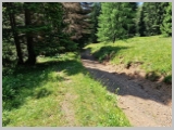 Slika_157.webp