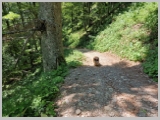 Slika_160.webp