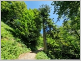 Slika_161.webp