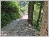 Slika_164.webp