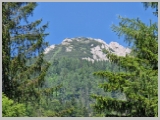 Slika_170.webp