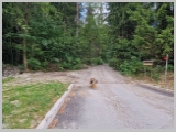 Slika_004.webp