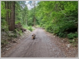 Slika_006.webp