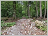 Slika_007.webp