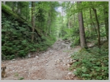 Slika_008.webp