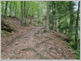 Slika_009.webp