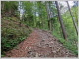Slika_010.webp