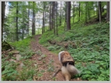 Slika_012.webp