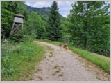 Slika_017.webp