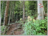 Slika_019.webp