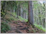 Slika_020.webp