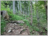Slika_022.webp