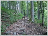 Slika_023.webp