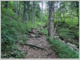 Slika_024.webp