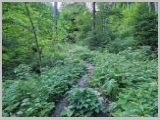 Slika_031.webp