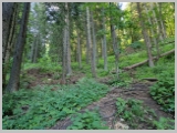 Slika_032.webp