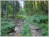 Slika_033.webp