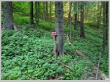 Slika_034.webp