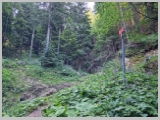 Slika_035.webp