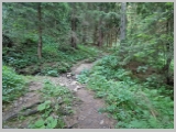 Slika_040.webp
