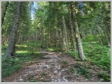 Slika_042.webp
