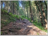 Slika_043.webp