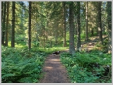Slika_046.webp