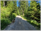 Slika_052.webp