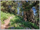 Slika_056.webp
