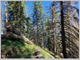Slika_057.webp