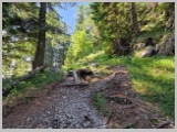Slika_058.webp